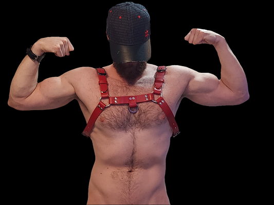 Buckle Bull Dog Harness