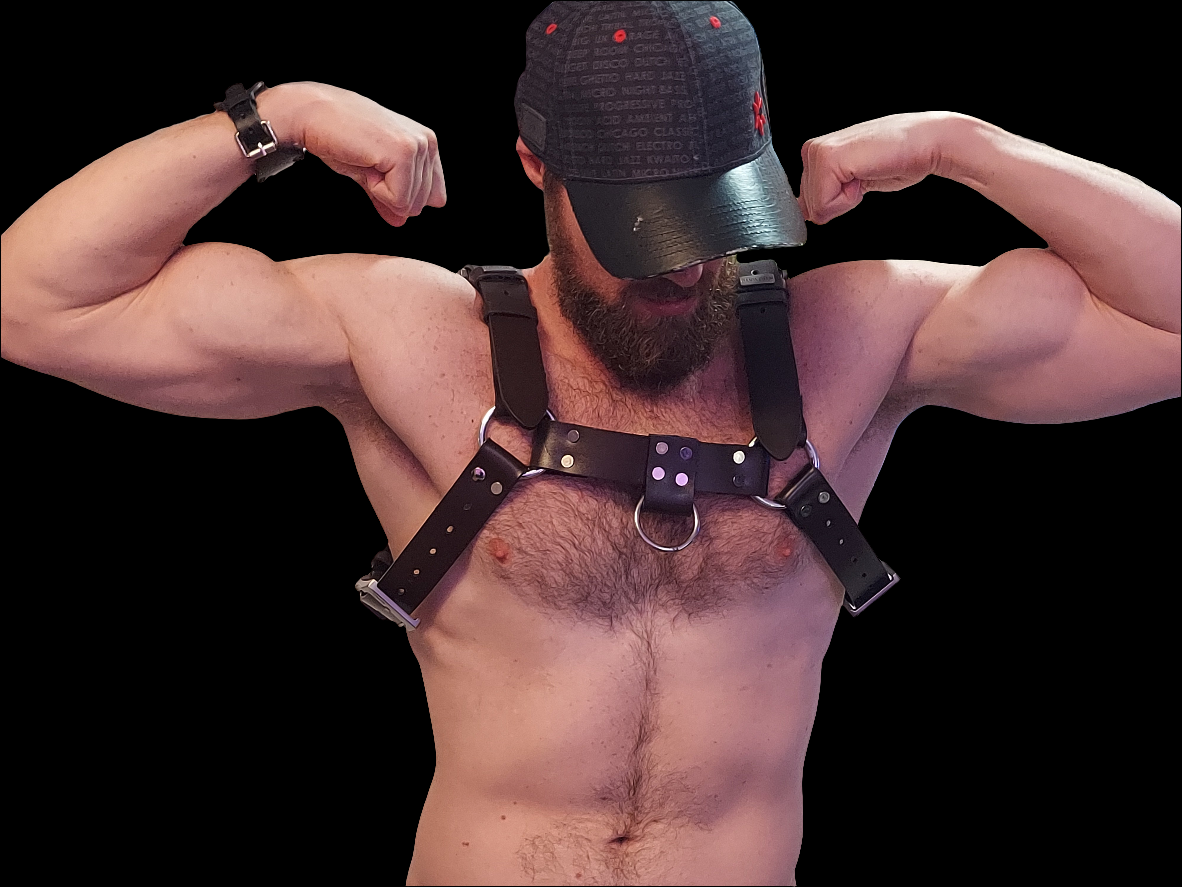 Buckle Bulldog Harness
