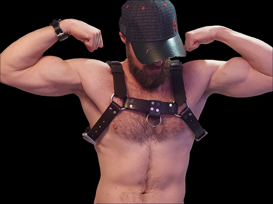 Buckle Bulldog Harness