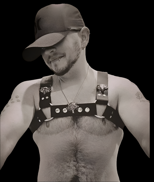 Snap Bulldog Harness custom Wolf Rivets