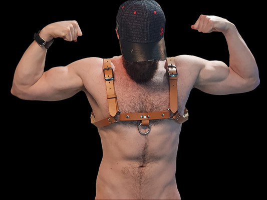 Buckle Bulldog Harness