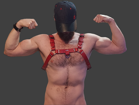 Buckle Bull Dog Harness